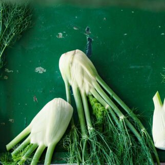 fenchel fenchel