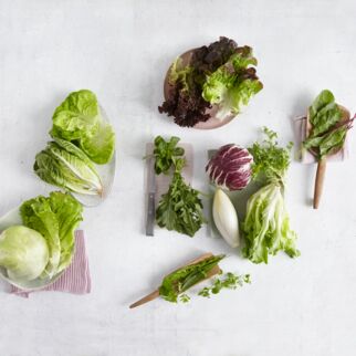 Verschiedene Blattsalate