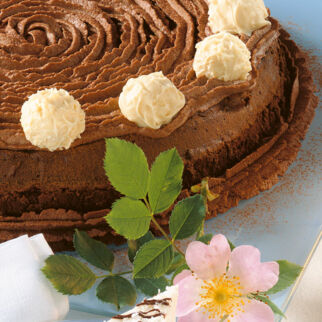 Trüffel-Torte Trüffel-Torte