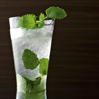 Lemonbalm Mojito Lemonbalm Mojito