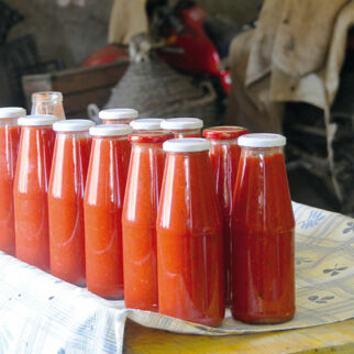 Tomatenpüree von Carlo und Delfi Tomatenpüree von Carlo und Delfi