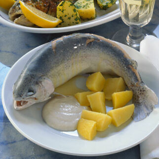 Forelle blau Forelle blau