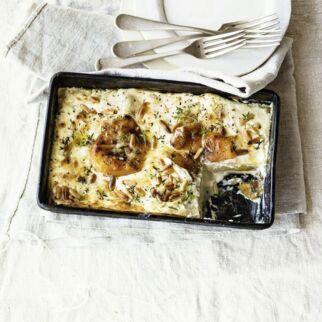 Gelbe Paprika-Lasagne Gelbe Paprika-Lasagne