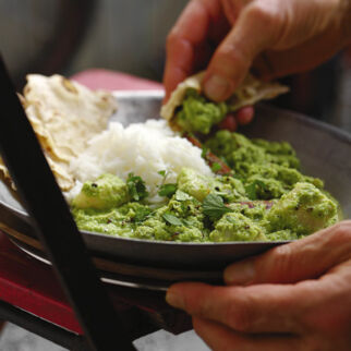 Fisch in Kokos-Koriander-Sauce Fisch in Kokos-Koriander-Sauce