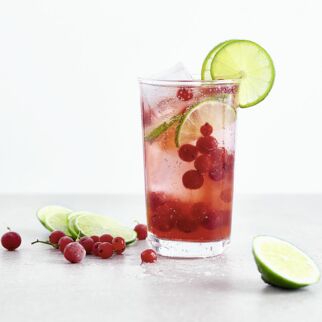 Cranberry-Lime-Spritzer Cranberry-Lime-Spritzer