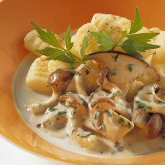 Gnocchi mit Sahnepilzen Gnocchi mit Sahnepilzen