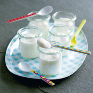 Joghurt Grundrezept Joghurt Grundrezept