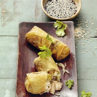 Frühlingsrollen mit Spitzkohl-Pilz-Füllung Frühlingsrollen mit Spitzkohl-Pilz-Füllung
