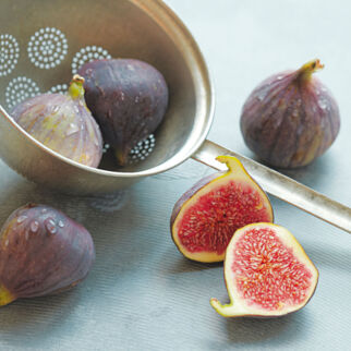 Feigen Feigen