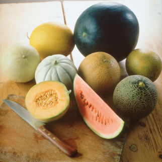 Melonen