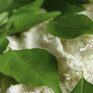 Curryblätter Curryblätter