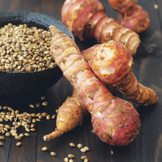 Topinambur – großer Auftritt einer kleinen Knolle Topinambur – großer Auftritt einer kleinen Knolle