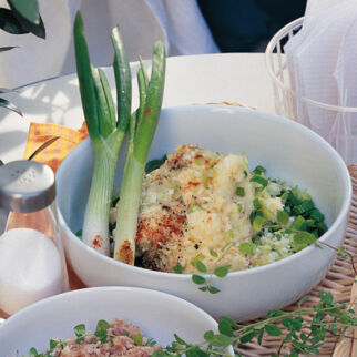Angemachter Camembert
