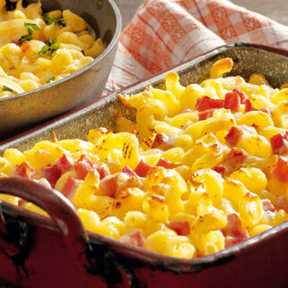 Bergkäse-Nudel-Auflauf Bergkäse-Nudel-Auflauf