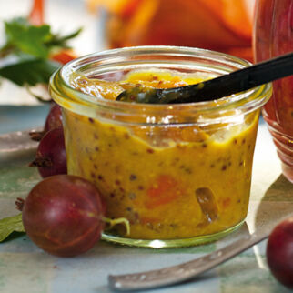 Aprikosensenf Aprikosensenf