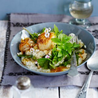 Giersch-Graupenrisotto