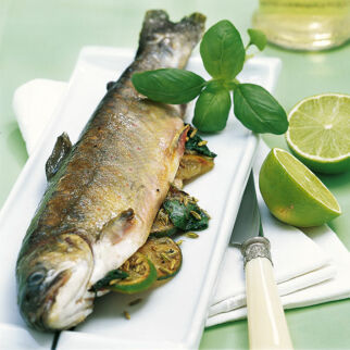 Gegrillte Saiblinge mit Limetten Gegrillte Saiblinge mit Limetten