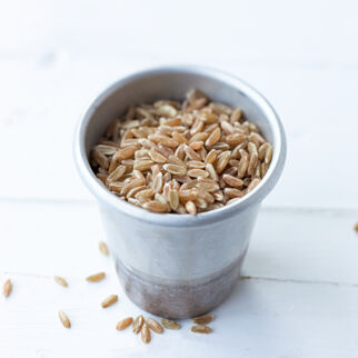 Grünkern das Korn des Dinkels - Grünkern Lebensmittel Warenkunde Grünkern