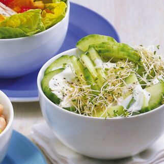 Gurken-Sprossensalat Gurken-Sprossensalat