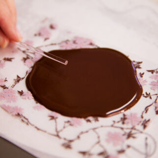 Schokolollies selber machen Stiel in Schokolade legen Schokolollies selber machen Stiel in Schokolade legen