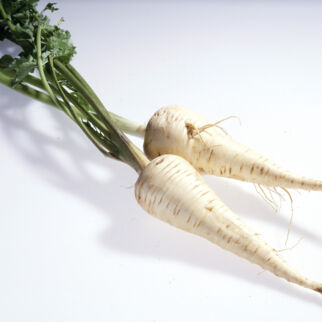 Pastinaken Pastinaken