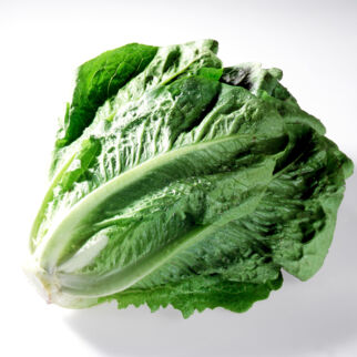 Römersalat