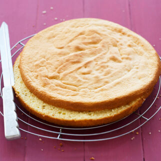 Biskuitboden einfach und richtig zerteilen Biskuitboden einfach und richtig zerteilen