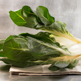 Frischer Mangold - Mangold Lebensmittel-Warekunde Küchengötter Mangold Lebensmittel-Warenkunde