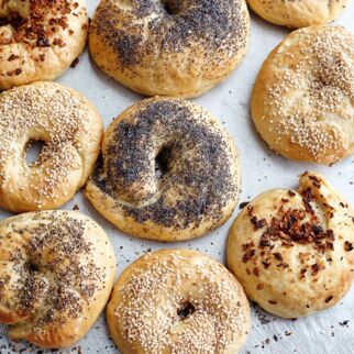 Bagel