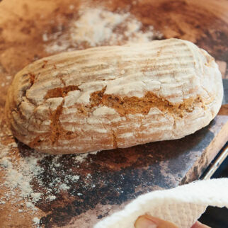 Grundrezept Anstellgut und Sauerteig Grundrezept Anstellgut und Sauerteig