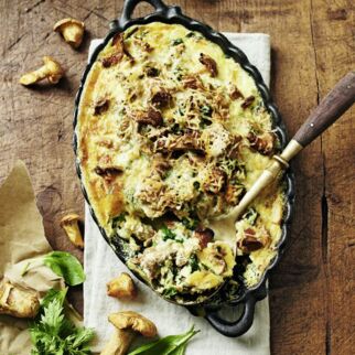 Pfifferlinggratin Pfifferlinggratin