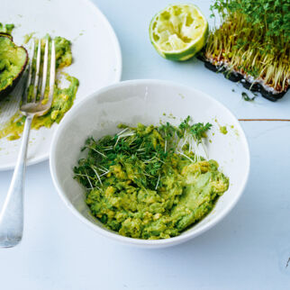Avocadocreme mit Kresse Avocadocreme mit Kresse