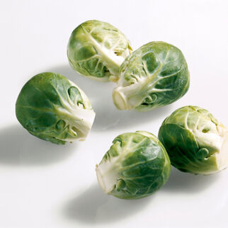 Rosenkohl