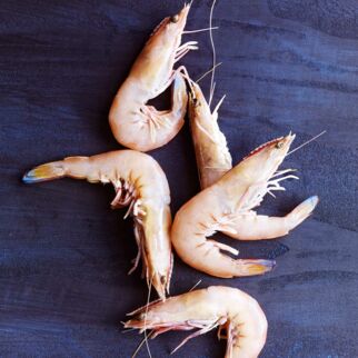 Garnelen & Scampi Garnelen & Scampi