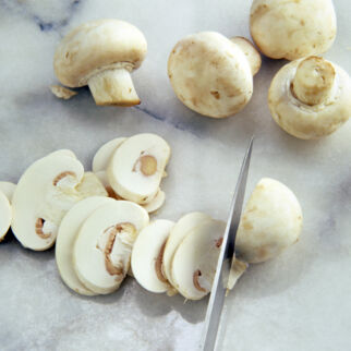 Champignons Champignons