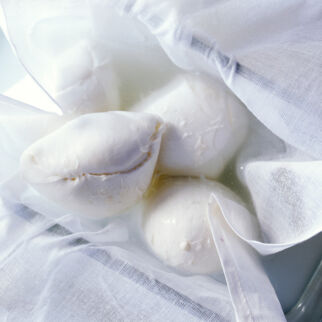 Mozzarella Mozzarella