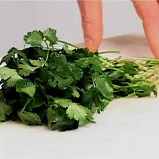 Koriander richtig putzen und verarbeiten Koriander richtig putzen und verarbeiten