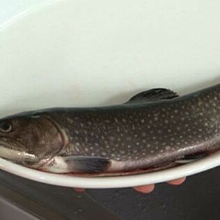 Fisch in Alufolie Fisch in Alufolie