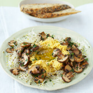 Chili-Hummus mit gebratenen Pilzen & Sprossen Chili-Hummus mit gebratenen Pilzen & Sprossen