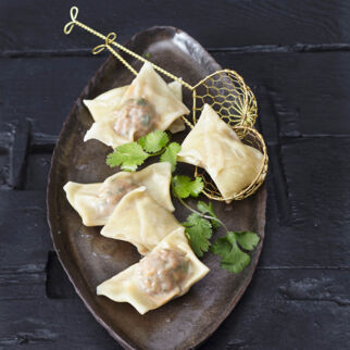 Wan-Tans mit Hackfüllung Wan-Tans mit Hackfüllung