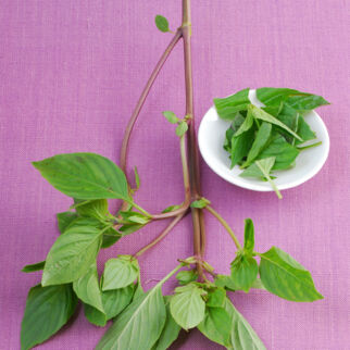 Wie es der Name verrät, ist Thai-Basilikum vor allem in Thailand beliebt. Thai-Basilikum