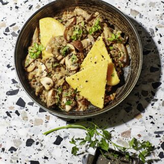 Linsen-Pilz-Rahm mit Polentaschnitten Linsen-Pilz-Rahm mit Polentaschnitten