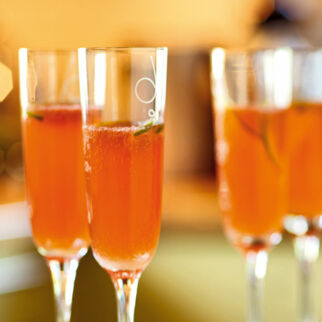 Zitrusfrischer Welcome-Cocktail Zitrusfrischer Welcome-Cocktail