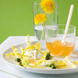 Löwenzahnblütengelee Löwenzahnblütengelee