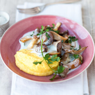 Pilzragout mit Käsepolenta Pilzragout mit Käsepolenta