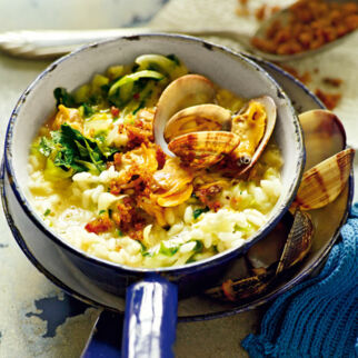 Endivienrisotto mit Venusmuscheln Endivienrisotto mit Venusmuscheln