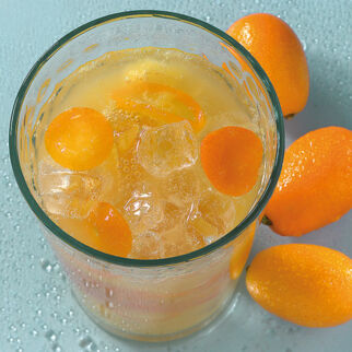 Mädchen mit Plan Mädchen mit Plan