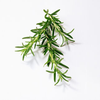 Rosmarin schmeckt besonders gut zu Kartoffeln. Rosmarin