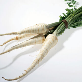 Petersilienwurzeln Petersilienwurzeln