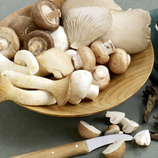 Pilze einfach und richtig zubereiten
